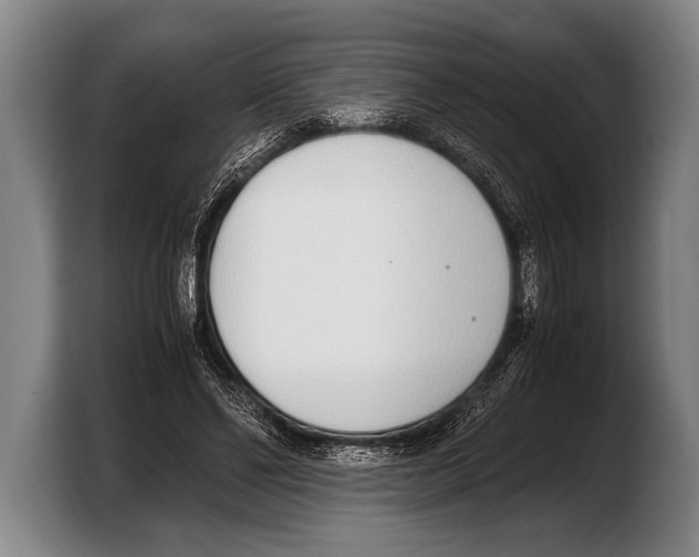 X0000103330494200810061017