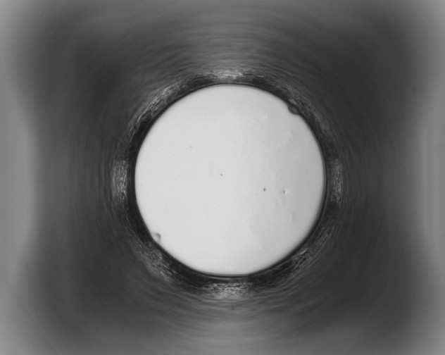 X0000103330495200810061017