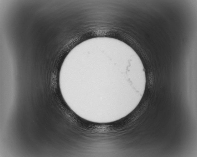 X0000103330497200810061017