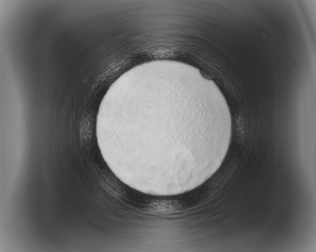 X0000103330499200810061017