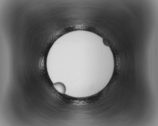 X0000103330502200810061017