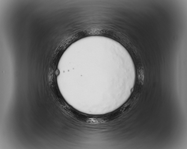 X0000103330503200810061017