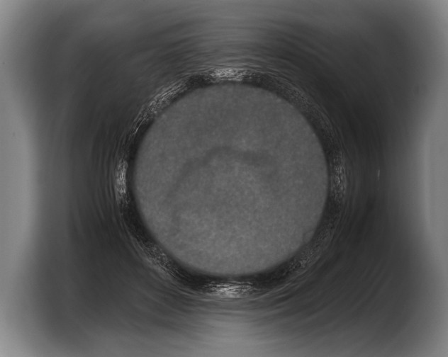 X0000103330504200810061017