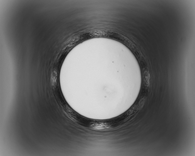 X0000103330507200810061017