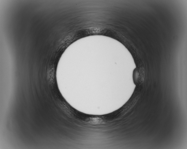 X0000103330509200810061017