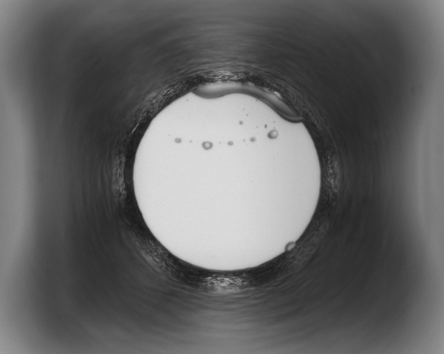 X0000103330512200810061017