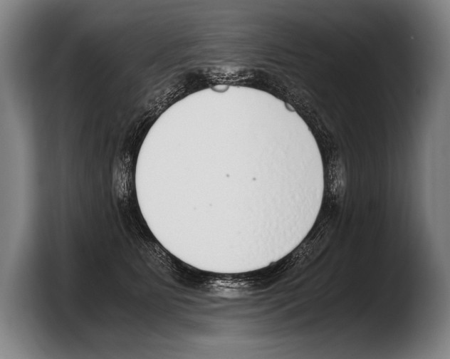 X0000103330515200810061017