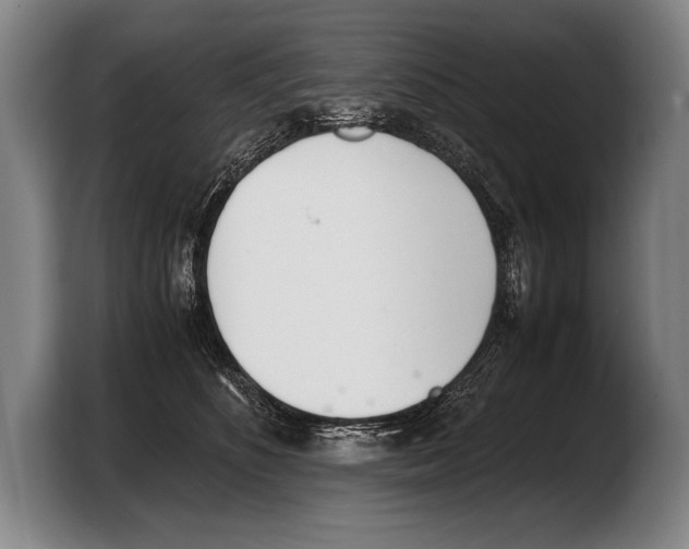 X0000103330516200810061017