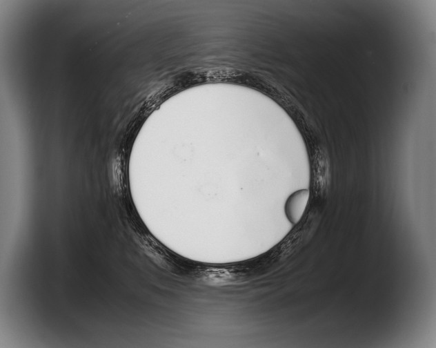 X0000103330519200810061017