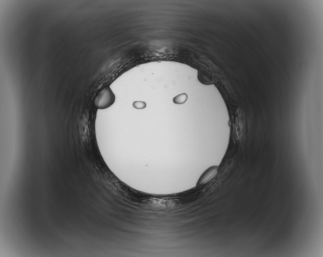 X0000103330520200810061017