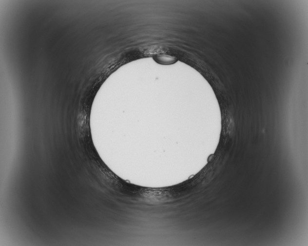 X0000103330521200810061017