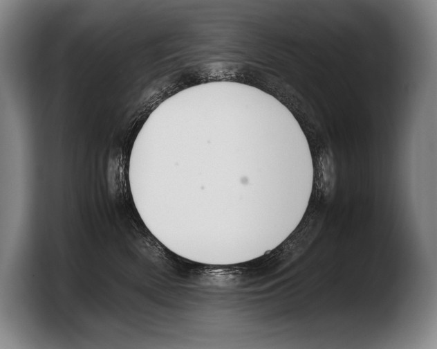 X0000103330522200810061017