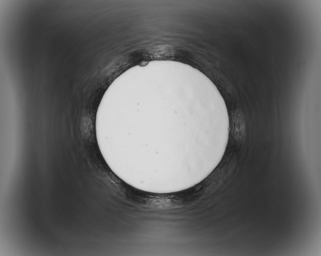 X0000103330523200810061017