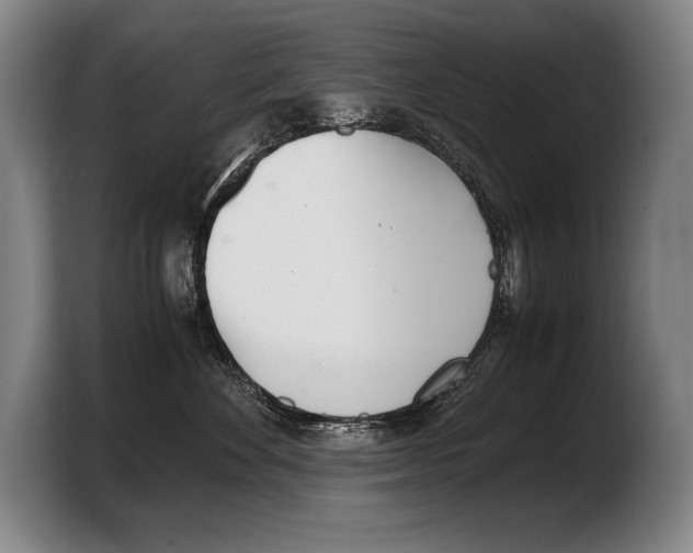 X0000103330524200810061017