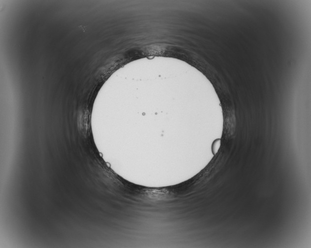 X0000103330525200810061017