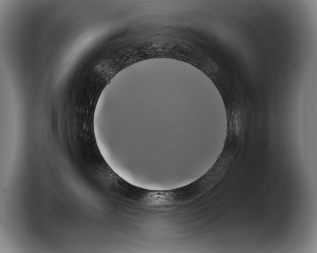 X0000103330526200810061017