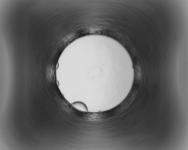 X0000103330527200810061017