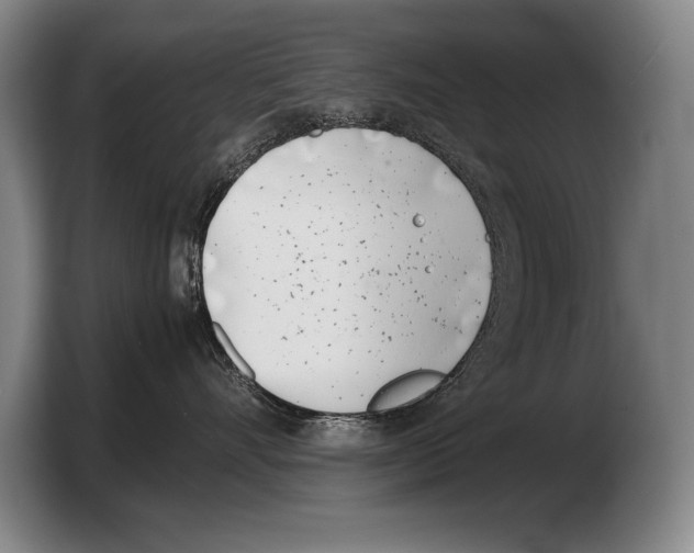 X0000103330528200810061017