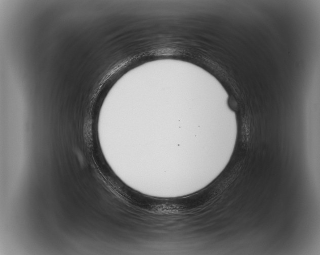 X0000103330535200810061016