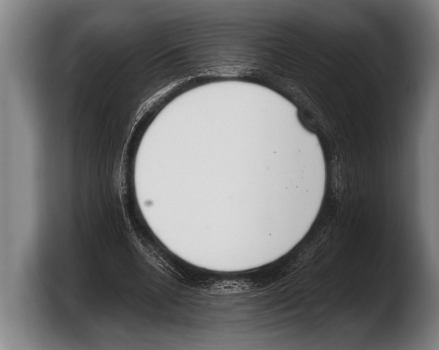 X0000103330536200810061016