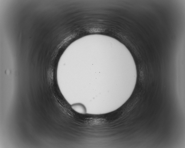 X0000103330539200810061016