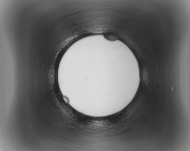 X0000103330540200810061016