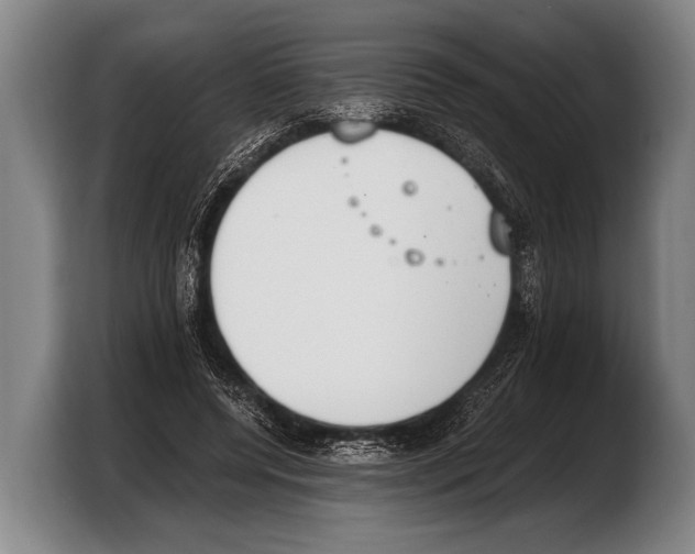 X0000103330544200810061016