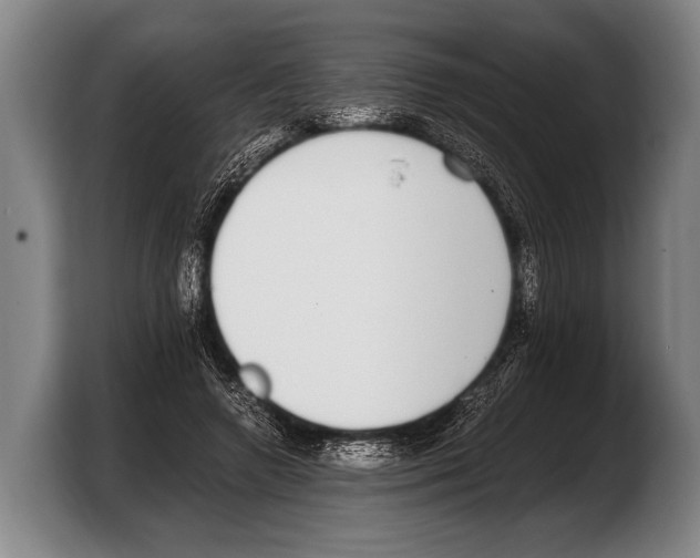 X0000103330546200810061017