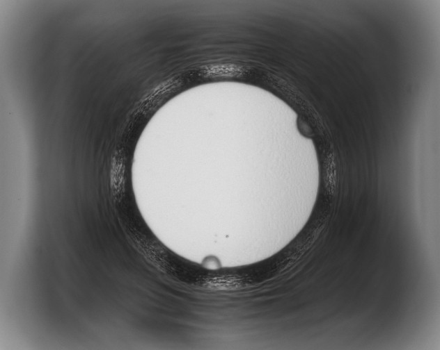 X0000103330551200810061017