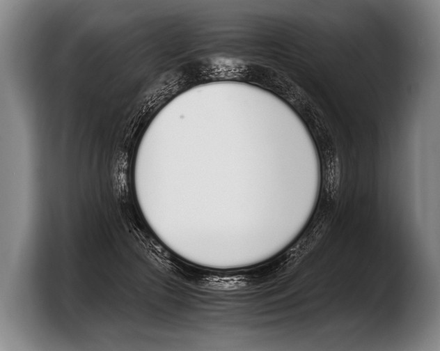 X0000103330553200810061017