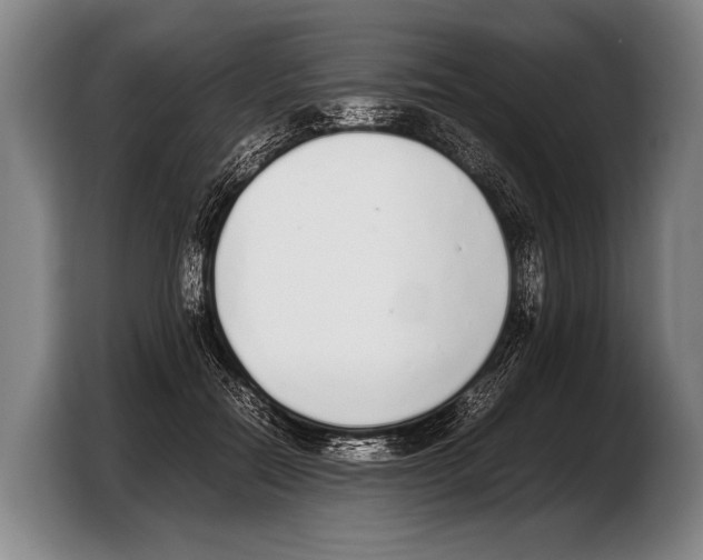 X0000103330554200810061017