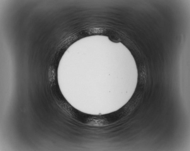 X0000103330555200810061017