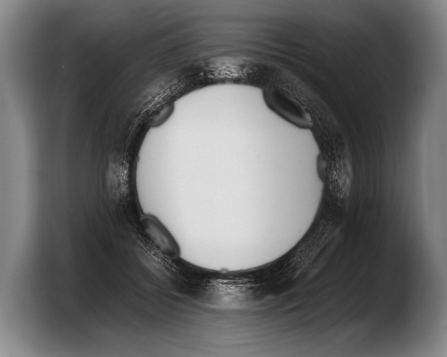 X0000103330556200810061017