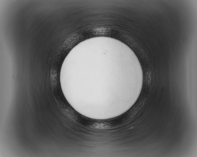 X0000103330557200810061017