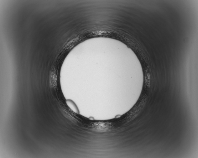 X0000103330558200810061017