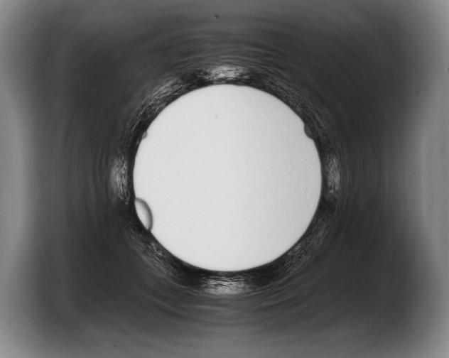 X0000103330559200810061017