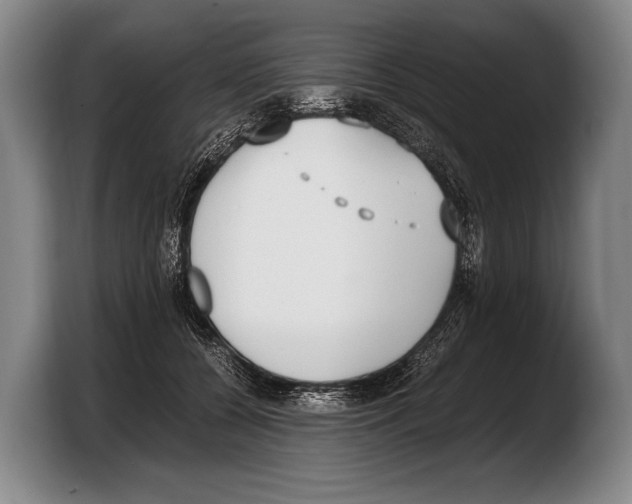 X0000103330560200810061017