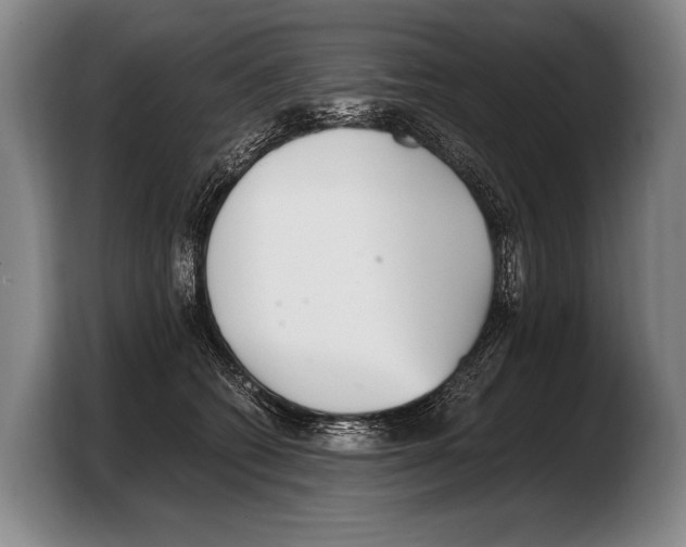 X0000103330562200810061017