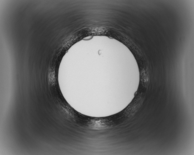 X0000103330564200810061017