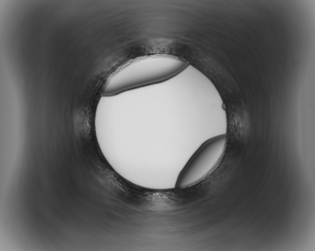 X0000103330566200810061017