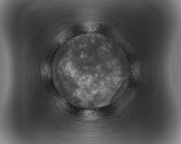 X0000103330568200810061017