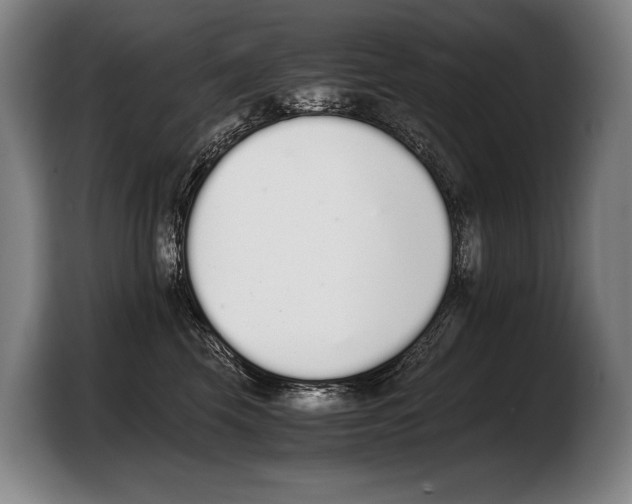 X0000103330569200810061017