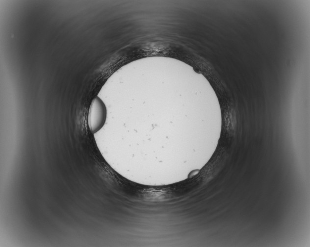 X0000103330570200810061017