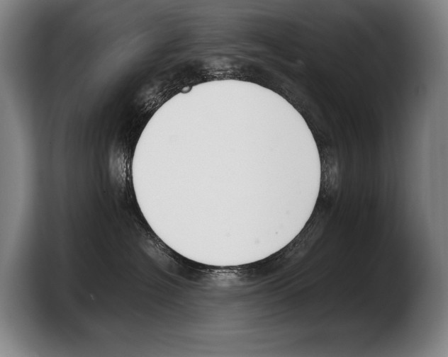 X0000103330574200810061017