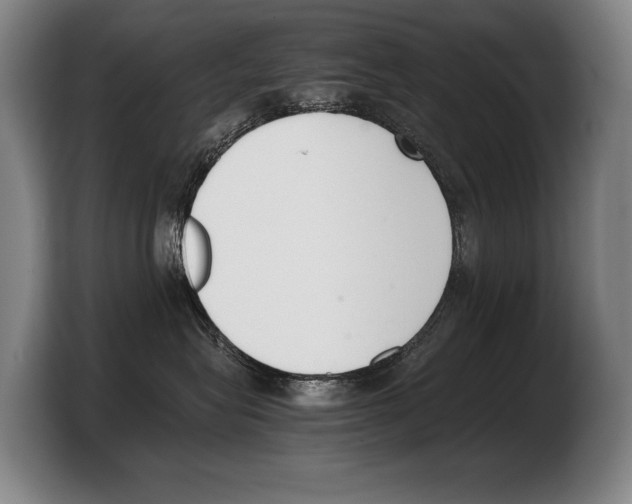 X0000103330575200810061017