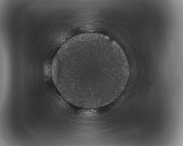 X0000103330576200810061017