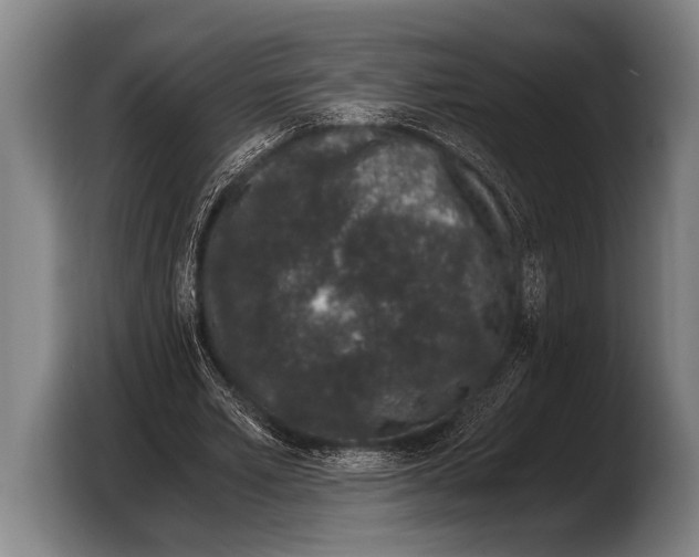 X0000103330581200810061016