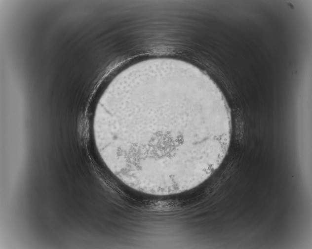 X0000103330584200810061016