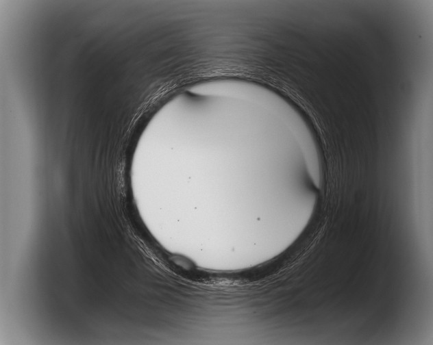 X0000103330585200810061016