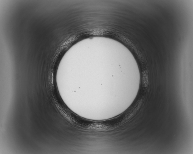 X0000103330589200810061016